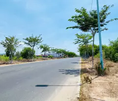 Bán 6m x 46m đất thổ cư Hùng Vương, Tân Bình, LaGi view Biển giá mềm