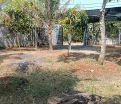 NHÀ VƯỜN (29X16) THỚI TAM THÔN – GIÁ MỀM CHỈ 9.3 TỶ ĐẦU TƯ NGAY