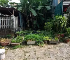 Đất mặt tiền đường Hoàng Ngân , Gần UBND phường Hòa Xuân,Đà Nẵng