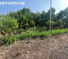 Bán vườn 3216m2, Xuân Phú, Xuân Lộc. Đồng Nai. Giá 1,8 ty. Lh 0984488048.