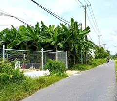 Bán đất mặt tiền Trần Quang Đạo , Tân Thông Hội dt 409m2 (200m2) giá 5,7 tỷ