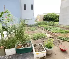Bán lô đất 50m2 Bạch Mai An Hải Hải Phòng