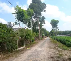 BÁN ĐẤT TÂY NINH – VỊ TRÍ ĐẸP – ĐƯỜNG NHỰA 6M – GIÁ TỐT