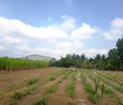 BÁN ĐẤT TÂY NINH – VỊ TRÍ ĐẸP – ĐƯỜNG NHỰA 6M – GIÁ TỐT