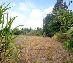 BÁN ĐẤT TÂY NINH – VỊ TRÍ ĐẸP – ĐƯỜNG NHỰA 6M – GIÁ TỐT