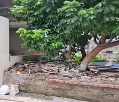 62m2 đất ngõ phố kinh doanh Cửu Việt, Trâu Quỳ, Gia Lâm. 8 tỷ 0xx. Lh 0989894845