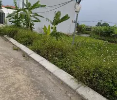 BÁN ĐẤT 120M² GIÁ TỐT – SỔ ĐỎ CHÍNH CHỦ