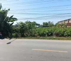 Bán Đất tại Quốc lộ 54, xã Lai Vung (xãTân Thành, Huyện Lai Vung) giá tốt chỉ với 4,1 tỷ