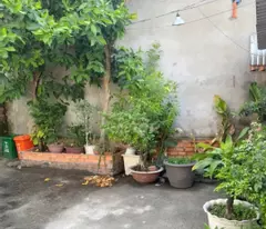 Nhà 190m2 hẻm 1107 Dương Bạch Mai -P5-Q8
