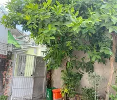 Nhà 190m2 hẻm 1107 Dương Bạch Mai -P5-Q8