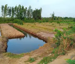 BÁN KHU TRANG TRẠI 5 NGÀN M2.TÂN THÔNG HỘI- CỦ CHI