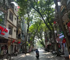 🏠 MẶT PHỐ TRẦN QUỐC HOÀN - ĐOẠN ĐẸP NHẤT PHỐ - KINH DOANH SẦM UẤT - 2 MẶT THOÁNG TRƯỚC SAU