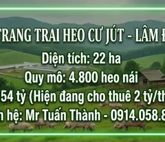 Siêu Trang Trại Heo 22ha - Thu Nhập cho thuê 24 Tỷ/Năm