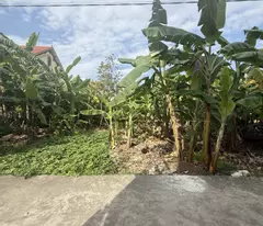 Bán đất 96m2 Mỹ Tranh Nam Sơn An Dương Hải Phòng