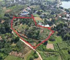 🚨 CHỦ NGỘP BÁN GẤP 10.000M² ĐẤT VÂN HÒA GIÁ KHÔNG TƯỞNG 🚨