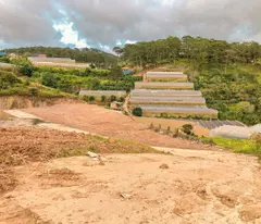 BÁN LÔ ĐẤT VIEW RỪNG THÔNG XUÂN THỌ -  PHƯỜNG XUÂN TRƯỜNG, ĐÀ LẠT