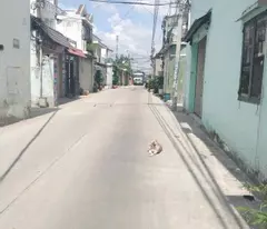 CHÍNH CHỦ BÁN NHÀ Mặt tiền Đường 8m, 2 XE TẢI tránh, thông QL1A + MÃ LÒ, gần Trạm Thu Phí TÂN KỲ