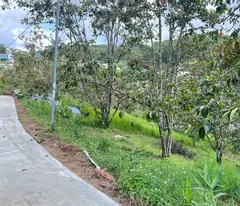CẦN BÁN GẤP ĐẤT XUÂN THỌ – ĐÀ LẠT