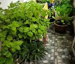 BÁN NHÀ ĐẸP HƯNG PHÚ QUẬN 8 76M  1 TRỆT 1 LẦU  CHỦ GIẢM SÂU CÒN 5.1 TỶ.