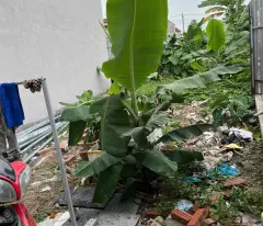 HÀNG HIẾM HẢI THÀNH 2 - DƯƠNG KINH - 41.2m2 - DƯƠNG KINH - Giá 1 tỷ 2xx