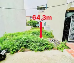 BOMTẤN, Đã có quy hoạch xây Dựng thêm 3 trường Đại Học, Dự án khu du lịch Chùa Chầm 100 tỉ