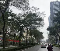 BÁN BIỆT THỰ LÔ GÓC LÁNG HẠ - ĐỐNG ĐA - 430M2 - MT 16M - Ô TÔ ĐỖ NGÀY ĐÊM - 83 TỶ