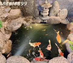 BÁN BIỆT THỰ LINH LANG - BA ĐÌNH - 85M2 - MT 6M - Ô TÔ VÀO NHÀ - 31 TỶ