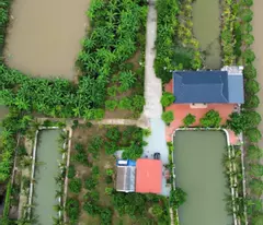 BÁN KHU NGHỈ DƯỠNG SINH THÁI GIA ĐÌNH TẠI AN LÃO – HẢI PHÒNG