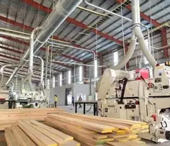 CHUYỂN NHƯỢNG NHÀ XƯỞNG CỤM CN HÓC MÔN – 4.000M² – PHÁP LÝ CHUẨN – GIÁ 33 TỶ