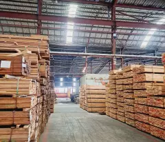 CHUYỂN NHƯỢNG NHÀ XƯỞNG CỤM CN HÓC MÔN – 4.000M² – PHÁP LÝ CHUẨN – GIÁ 33 TỶ