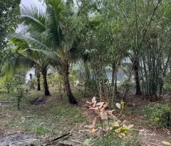 CẦN BÁN ĐẤT VƯỜN ĐẸP – PHƯỜNG HÒA THÀNH