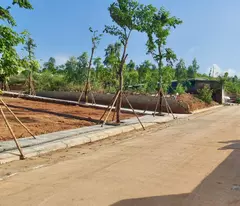 💥 ĐẤT SÁT VIN HẠ LONG XANH - ĐÓN SÓNG HẠ TẦNG TOD, TIỀM NĂNG TĂNG GIÁ VƯỢT TRỘI