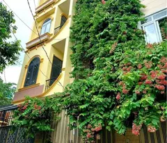 Nhà Đất Thánh Phường 6 Quận Tân Bình.
