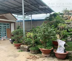 GẤP GẤP – SIÊU PHẨM ĐẤT LỚN NỞ HẬU DƯƠNG CÔNG KHI – GIÁ CHỈ 11 TỶ (TL)