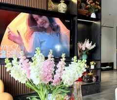 HÀNG HIẾM – CHÍNH CHỦ BÁN CĂN GÓC HOA HẬU ATHENA PHÁP VÂN
