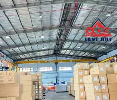 XT119 cho thuê xưởng sản xuất, tiếp nhận linh hoạt ngành nghề, có sẵn nhiều cầu trục