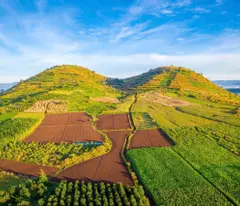 Bán 3500m² đất view đẹp tại dốc Trời, Lâm Hà, Lâm Đồng