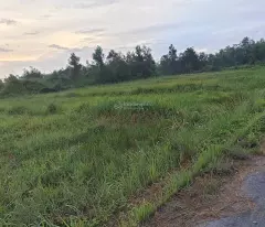 Hàng hot đất thị trấn đức hoà. sổ hồng riêng