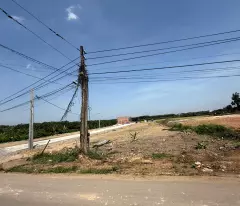 CƠ HỘI ĐÓN ĐẦU QUY HOẠCH HƯƠNG LỘ 15 – ĐẤT TÂN TRIỀU GIÁ RẺ NHẤT KHU VỰC!