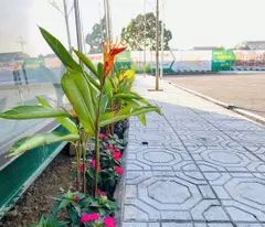 Hòa Lạc Bùng Nổ Hạ Tầng — Cơ Hội Vàng Cho Người Mua Đất Ngay Hôm Nay!”