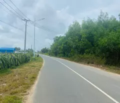 Bán 1 ha đất ONT Mặt tiền Mai Thúc Loan - Tân Hải - LaGi giảm 70% 650k/m2