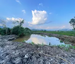 CHÍNH CHỦ CẦN BÁN 5 SÀO ĐẤT THANH BÌNH