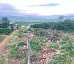 CHÍNH CHỦ CẦN BÁN 5 SÀO ĐẤT THANH BÌNH