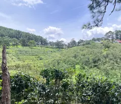 BÁN NHANH LÔ ĐẤT XUÂN TRƯỜNG - CẦU ĐẤT, ĐÀ LẠT