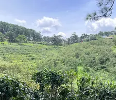 BÁN NHANH LÔ ĐẤT XUÂN TRƯỜNG - CẦU ĐẤT, ĐÀ LẠT