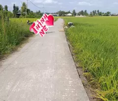 F0 thổ cư đường Nguyễn Văn Luỹ