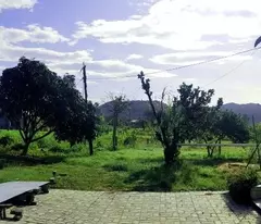 BÁN 2,5HA ĐẤT KHU DÂN CƯ ĐẠ TẺH – GIÁ CHỈ 190.000Đ/M², CÓ SẴN THỔ CƯ VÀ NHÀ KIÊN CỐ
