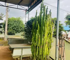 ĐẦU TƯ THÔNG MINH – ĐÓN ĐẦU KHAI THÁC – GÓC 2 MẶT TIỀN TRUNG TÂM QUẢNG LẬP