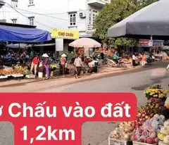 CẮT LỖ GẤP 100m² ĐẤT TRUNG GIÃ SÓC SƠN-HÀ NỘI CHỈ 960TR