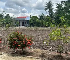 CHÍNH CHỦ CẦN BÁN ĐẤT FULL THỔ CƯ – XÃ THUẬN MỸ, TÂY NINH